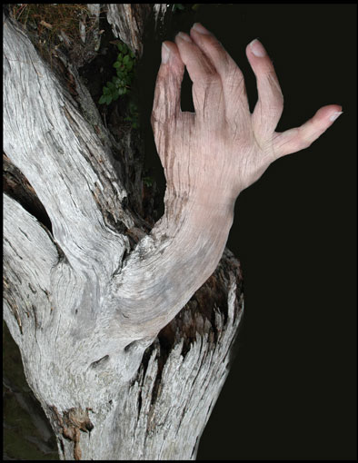 Metmorphose